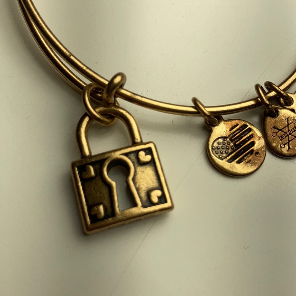 Alex and Ani Unbreakable Love Charm Bangle - Picture 5 of 9